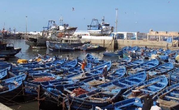 La pêche côtière et artisanale a le vent en poupe