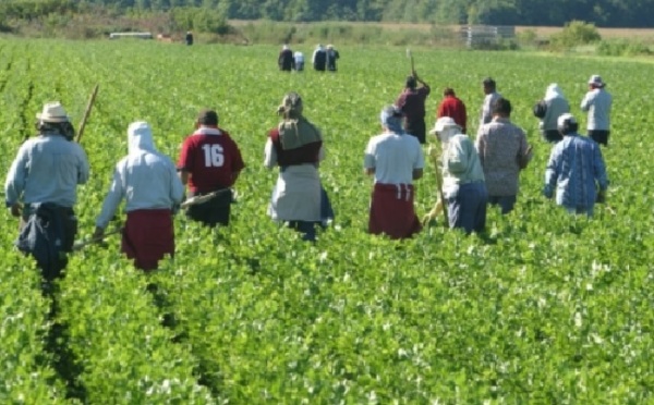 Le Maroc tancé par le Comité onusien pour les travailleurs migrants