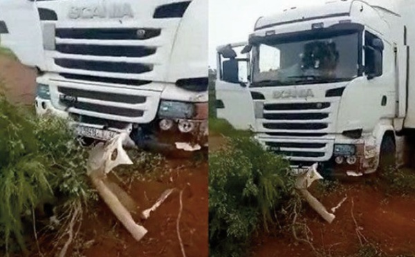 Le Mali condamne vivement “l'attaque lâche et barbare ” contre un convoi commercial marocain dans la commune de Didiéni