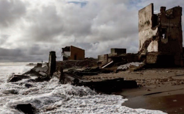 L'Afrique doit prendre en compte le climat dans sa relance post-Covid