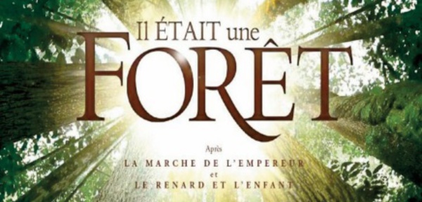 Le filon bien encombré du film sur l’ environnement