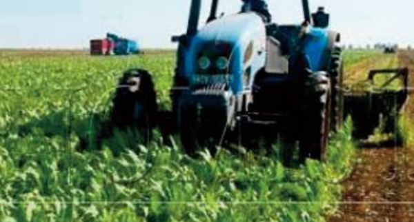 L'expérience marocaine en matière d’innovation agricole mise en avant à Rom