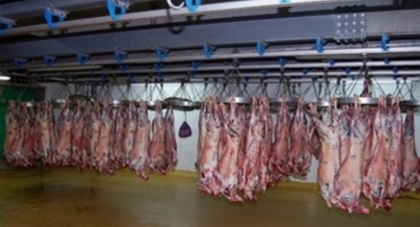 Les abattoirs de Casablanca ouverts le jour de l’AïdLes abattoirs de Casablanca ouverts le jour de l’Aïd