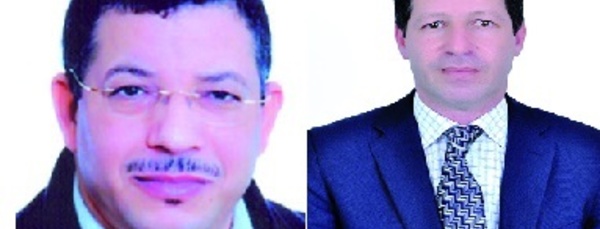 Elections partielles