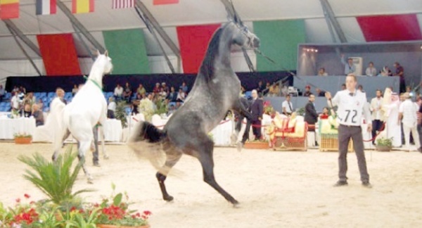 Quelque 250.000 visiteurs pour la 6ème édition