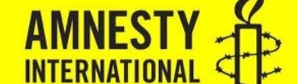 Amnesty International épingle le régime égyptien