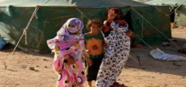 72ème Session du HCR: La délégation marocaine déconstruit les allégations algériennes mensongères