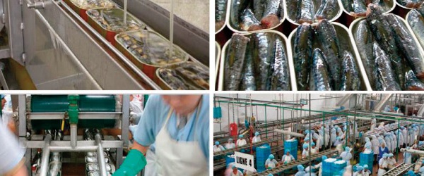 L’industrie de la conserve de poisson est mal en point