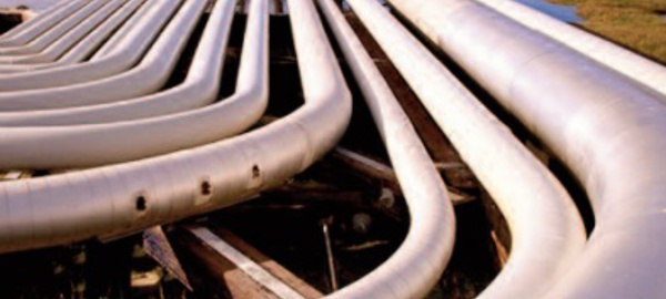 L’ appareil politico-militaire algérien en perte de boussole