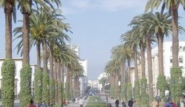 La peinture souirie à l’honneur à la galerie Fan Dok