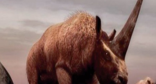 Un nouveau dinosaure découvert à Skoura