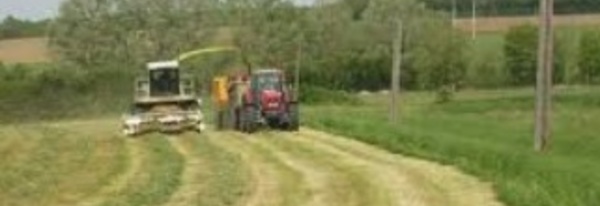 Le Fonds international de développement agricole s’engage dans la région d’El-Haouz