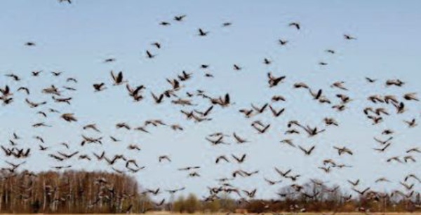 Lancement des travaux d’ aménagement du pôle d’échanges de la Vallée des oiseaux à Agadir