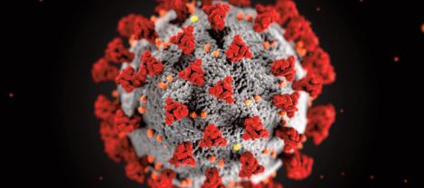 Mise en place de l'attestation d'exemption de la vaccination contre la Covid-19