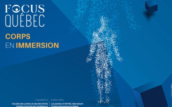 27ème édition du Festival international d’Art Vidéo: Un programme riche et protéiforme à l’image du langage artistique qu’il célèbre