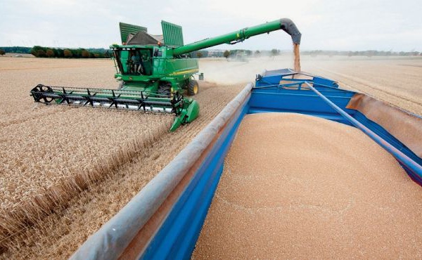 Baisse prévue des stocks mondiaux de céréales en 2022