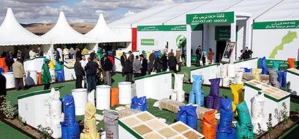 La Caravane OCP «Céréales et légumineuse» 2013 sillonne les régions du Maroc