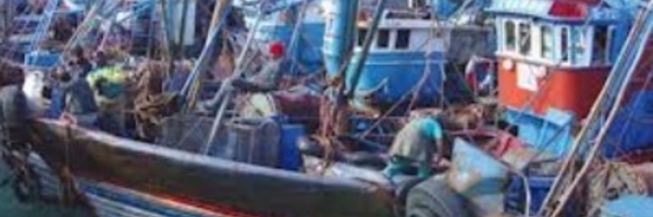 Hausse des débarquements de la pêche côtière et artisanale