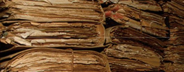 Signature d' une convention de don d'archives de l'association AMREC et de la Fondation Brahim Akhiate au profit des Archives du Maroc