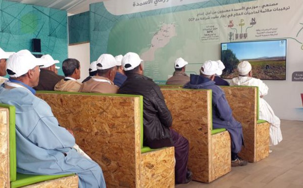 Le programme Al Moutmir a accompagné 50.000 agriculteurs en 3 ans