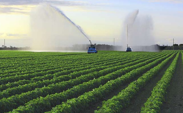 Les ressources en terres et en eau atteignent un niveau de stress critique