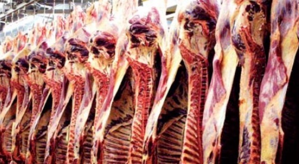 Les abattoirs de Casablanca, une bombe à retardement