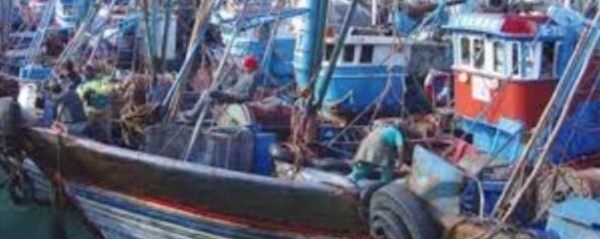 Hausse de 6% des débarquements de la pêche côtière et artisanale à fin novembre