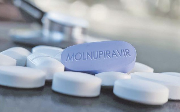 Le Maroc à l’heure du “Molnupiravir ”