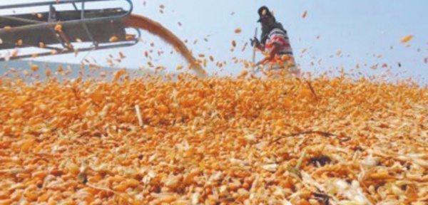 Flambée des prix et inflation: La paire qui fait peur