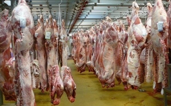 La communauté juive marocaine privée de viande casher