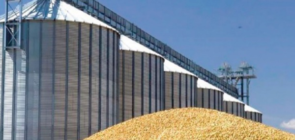 Fort recul des importations des céréales