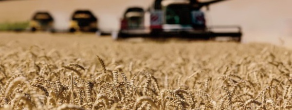 La guerre Russie-Ukraine a un coût. Et ce sont les pays en développement qui trinquent le plus