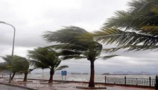 Chutes de neige et fortes rafales de vent mercredi et jeudi