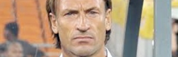 Renard, pressenti au poste de sélectionneur national