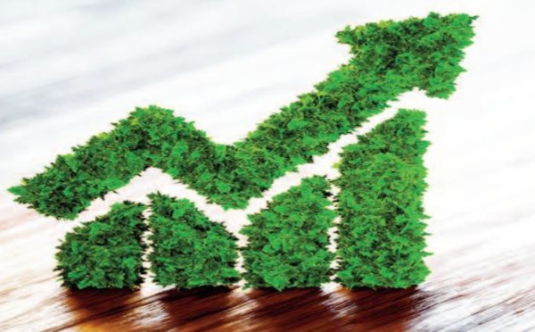 La croissance verte ?