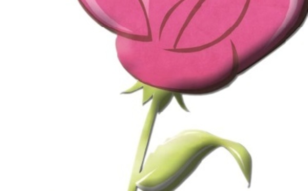 Le Bureau politique de l’USFP dénonce les agissements ayant visé ses militants à Dakhla