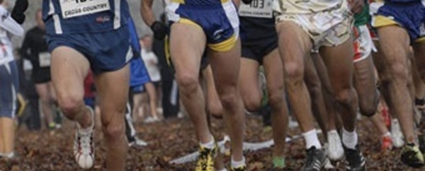 Consécration de Salima Alami et Reda El Arabi