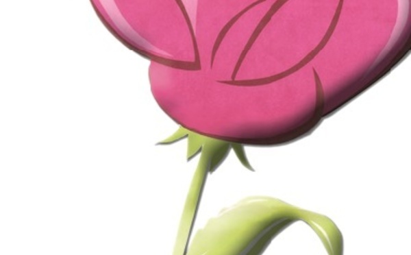 Activités partisanes