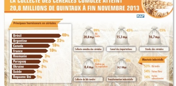 La collecte des céréales cumulée  atteint 20,8 millions de quintaux