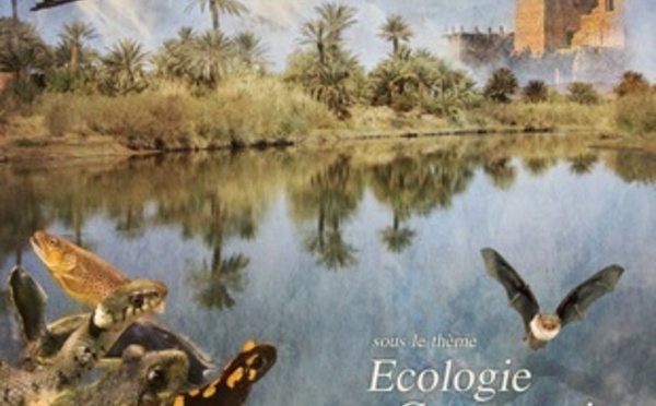 Ecologie et conservation des vertébrés des zones humides