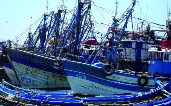L’alternance entre les sardiniers du Sud continue à faire des vagues