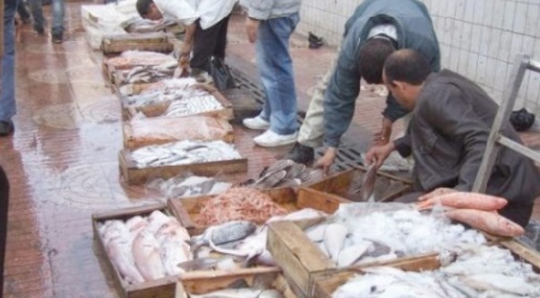 Meknès se dote d’un  marché de gros de poisson