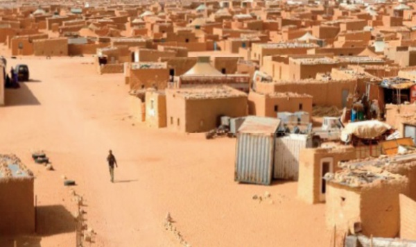 Le Polisario pousse la jeunesse séquestrée à s’adonner à l’usage et au trafic de drogue