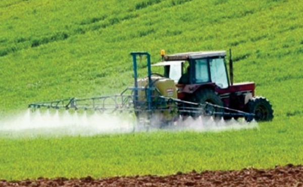 Tristes temps pour les agriculteurs marocains