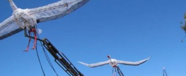 Les arts de la rue reconnus comme genre artistique “noble et créatif”