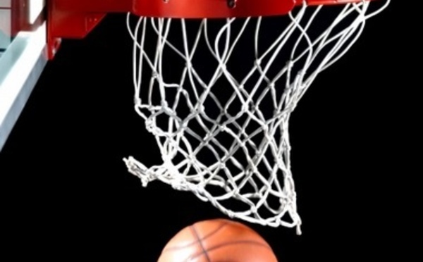 Une manche à la portée des gros bras