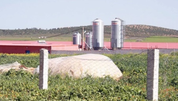 Ristou, un village hostile à l’industrie avicole