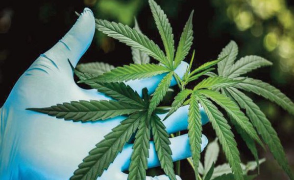 L'arsenal juridique complété par l'entrée en vigueur de six nouvelles décisions