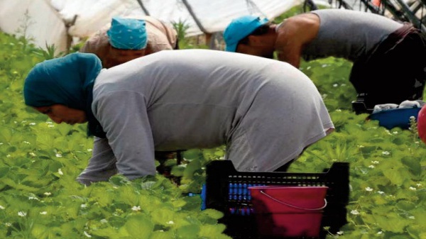 L’Espagne en manque de main-d’œuvre