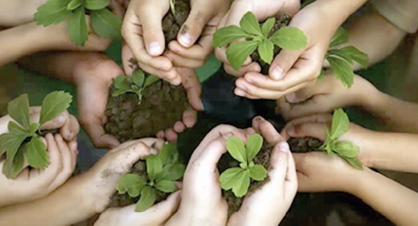 “Plantons 1000 arbres”, une  initiative de Casa Environnement